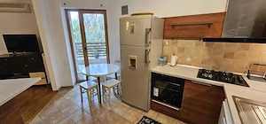 Doi Cocosi - Straulesti - 3 camere cu parcare si boxa incluse - imagine 3