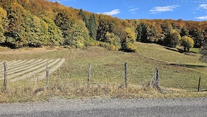 De vânzare teren intravilan 5.200 mp   front 40 m   DN10 Teliu, Brașov - imagine 5