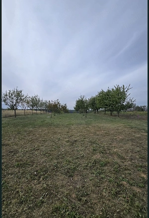 Teren intravilan cu livadă, 1500 mp, cu toate  utilitățile   Cordău - imagine 5