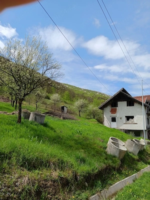 Vând casă ân comuna Vețel,,,la roșu preț ,,,,26 500 Euro,,, ușor negociabil ,,,pe strada Nicolaie Bă - imagine 4