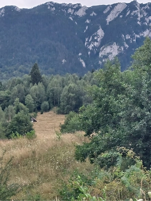 TEREN INTRAVILAN - Zarnesti Zona Priatra Craiului