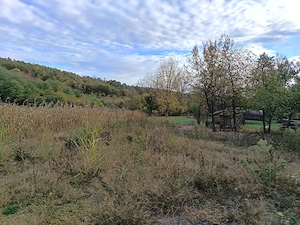 Teren intravilan loc de casă 7.800 mp-Conop, jud. Arad