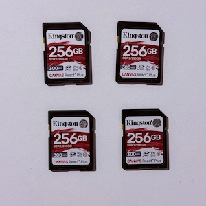 Patru carduri SD Kingston canvas react 256GB