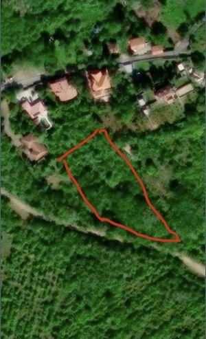 Teren de vânzare Valea Domnească loc. Ghioroc - imagine 2