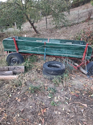 Căruță de vânzare se vinde cu tot ce e în poze