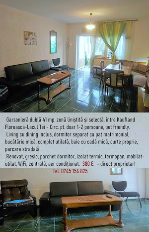 Văcărescu Lacul Tei-Circ garsonieră dublă-studio 41 m curte proprietar - imagine 2