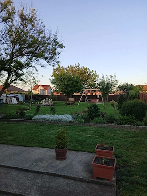  Casa individuala de vanzare in Peciu Nou - imagine 4