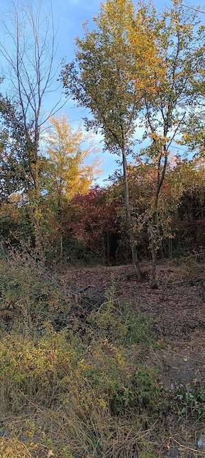 Teren de vânzare 1500m2  - imagine 10