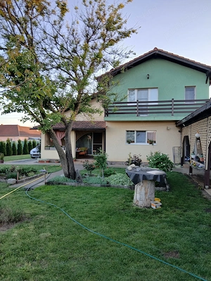  Casa individuala de vanzare in Peciu Nou - imagine 3