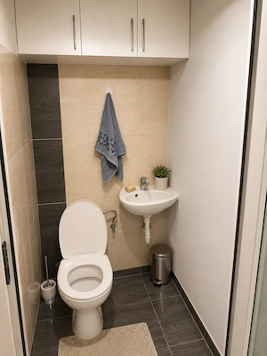 Spațiu comercial 56 mp + garaj + parcare | lângă Palatul de Justiție Iași - imagine 7