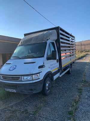 Iveco Daily 35C10 HPI 2.3 Autoutilitara transport animale - imagine 4