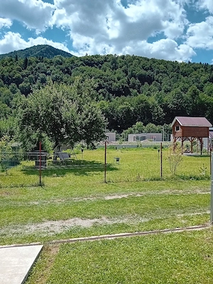 Vand schimb locuință Lepșa Vrancea - imagine 5