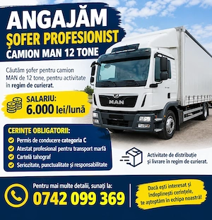 Angajari sofer profesionist camion 12 t cu lift