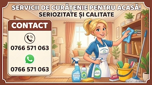 Servici de curățenie 