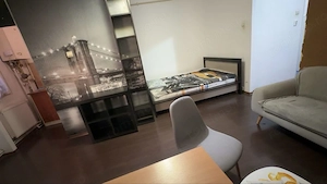 Apartament Complex Studentesc Politehnica UVT Medicina FEAA Sala Olimpia Stadion Judetean Elisabetin - imagine 3