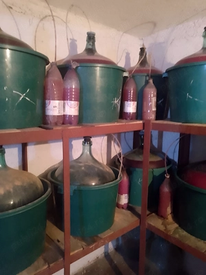 Vin de casă (căpșunică)