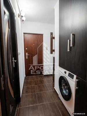 Apartament 1 camera de inchiriat ,Zona Lipovei - imagine 6