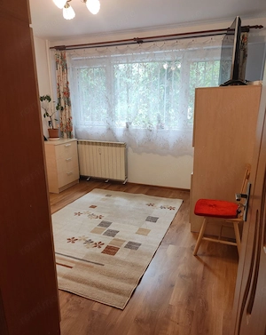 Vanzare Apartament 2 camere, parter, renovat , mobilat, utilat  - Drumul Taberei - imagine 4