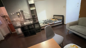 Apartament Complex Studentesc Politehnica UVT Medicina FEAA Sala Olimpia Stadion Judetean Elisabetin - imagine 4
