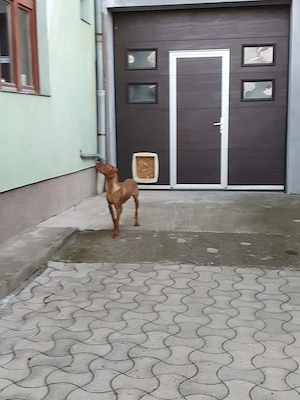 Proprietar - Vând casă 7 camere în ZONA ELISABETIN, Timișoara   465.000  , negociabil - imagine 19
