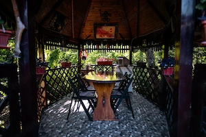 Casă de Vacanță Amenajată | Vălișoara DJ107M | Ciubăr · Foișor · BBQ | - imagine 10