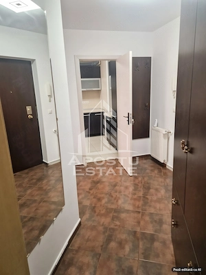 Apartament 1 camera de inchiriat,cu terasa mare, Aradului Nord - imagine 4