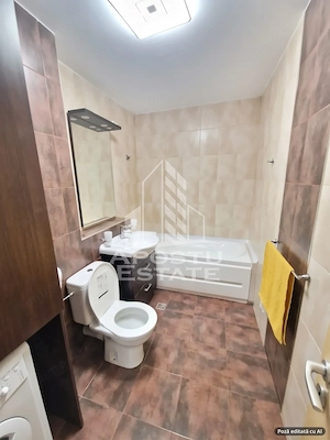Apartament 1 camera de inchiriat,cu terasa mare, Aradului Nord - imagine 5