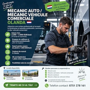 Mecanic Auto   Mecanic Vehicule Comerciale - OLANDA