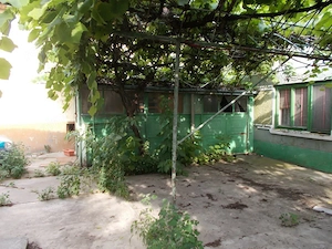 Casă Individuală Parter, Becicherecu Mic,DN6 Principala,3 Corpuri ,1254 mp - imagine 4