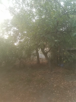 Casă de vânzare în Alexandria - imagine 4