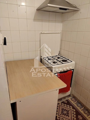 Apartament cu 1 camera de vanzare, zona Blascovici, Timisoara - imagine 3