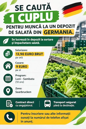Locuri de Munca in Germania (Cuplu)