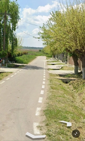 De vanzare teren 1000 mp Branistari - imagine 2