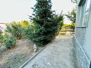 Casa de Vanzare Colt De Rai la doar 30 Km de Timisoara - imagine 7