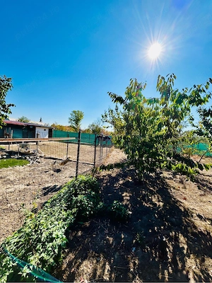 Casa de Vanzare Colt De Rai la doar 30 Km de Timisoara - imagine 10