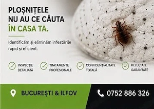 dezinsectie plosnita de pat