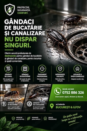 deratizare non stop