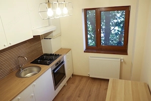 inchiriere apartament 3 camere - imagine 2