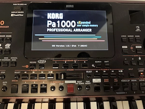 Vand aranjor Korg Pa1000