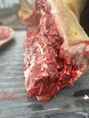 Porc Mangalița crescut lent, sacrificat tradițional cu paie - imagine 3