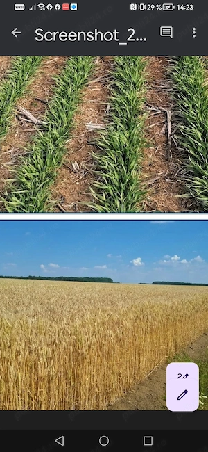 Agriculture farm 838 ha - imagine 2