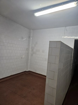 De inchiriat spatiu de productie in zona Lizeanu, sector 2 - Bucuresti - imagine 4