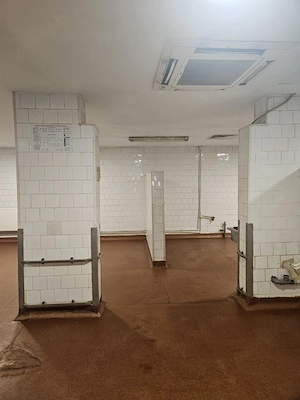 De inchiriat spatiu de productie in zona Lizeanu, sector 2 - Bucuresti - imagine 8