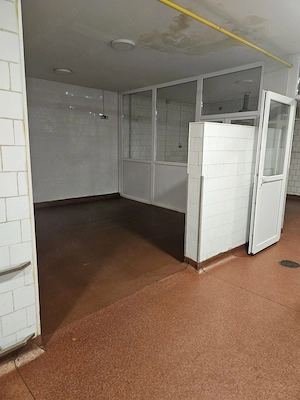 De inchiriat spatiu de productie in zona Lizeanu, sector 2 - Bucuresti - imagine 6