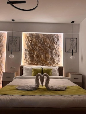 Studio Premium în Regim Hotelier | Design Modern | Balcon Amenajat Doamna Stanca Sibiu - imagine 7
