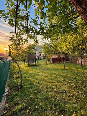 Casă cu teren de 1.366 mp și front stradal de aproximativ 60 ml   Dâmbu Rotund, Cluj-Napoca - imagine 5
