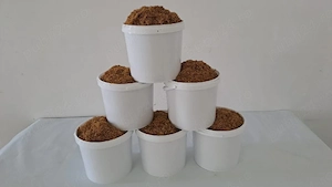 fir premium galeata 1 kg