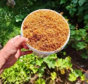 tabacc de vânzare 