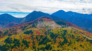 COMISION 0% | SACELE-BACIU| TEREN INTRAVILAN| 16 000 MP | NATURA