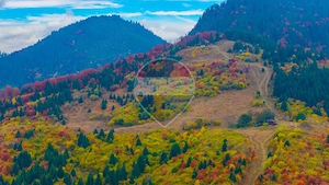 COMISION 0% | SACELE-BACIU| TEREN INTRAVILAN| 16 000 MP | NATURA - imagine 6